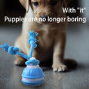 Rope Runner Interactive Squeaky Rechargeable Small Dog Ball & Rope Toy