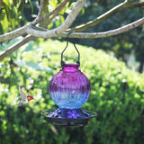 Glass Hummingbird Feeder