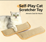 Catnip Chew Resistant Molar Pillow for Cats 2-Pack