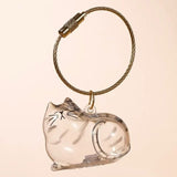 Pet Hair Keepsake Capsule Keychain for Cat & Dog Lovers -5Pcs