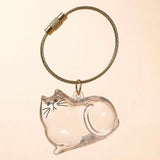 Pet Hair Keepsake Capsule Keychain for Cat & Dog Lovers -5Pcs