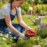 🌸🐝 Help Pollinators Thrive! | Frog. Snail & Ladybug Water Bowl Decor🐸🐌🐞