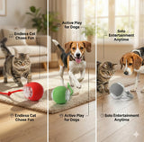 The Ultimate Auto-Moving Chase Ball for Cats & Dogs 2 Pack