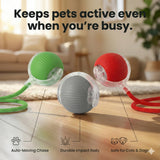 The Ultimate Auto-Moving Chase Ball for Cats & Dogs 2 Pack