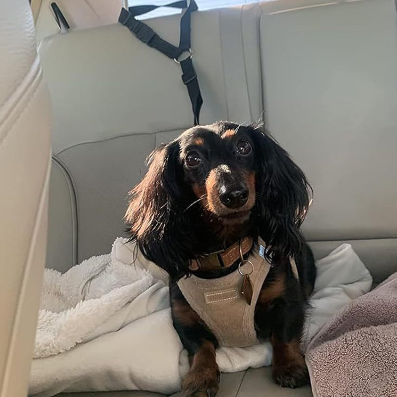 2-in-1 Dog Car Seat Belt & Walking Leash-BUY 1 GET 1 FREE