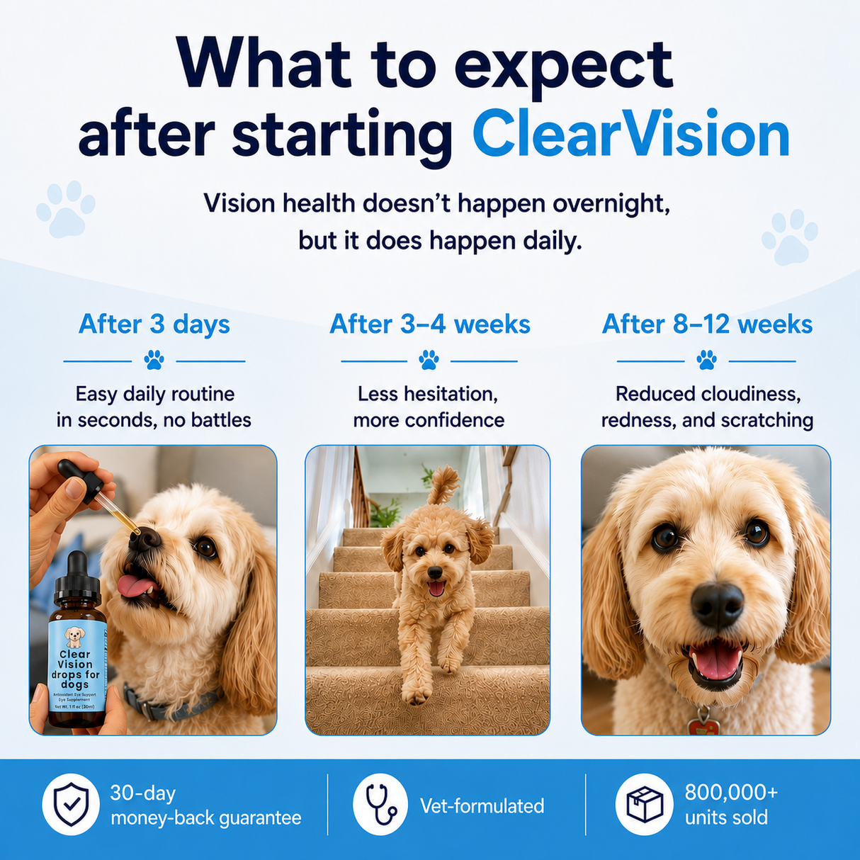 Daily Eye Support Drops for Dogs-2 Park