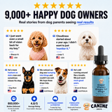 Daily Eye Support Drops for Dogs-2 Park