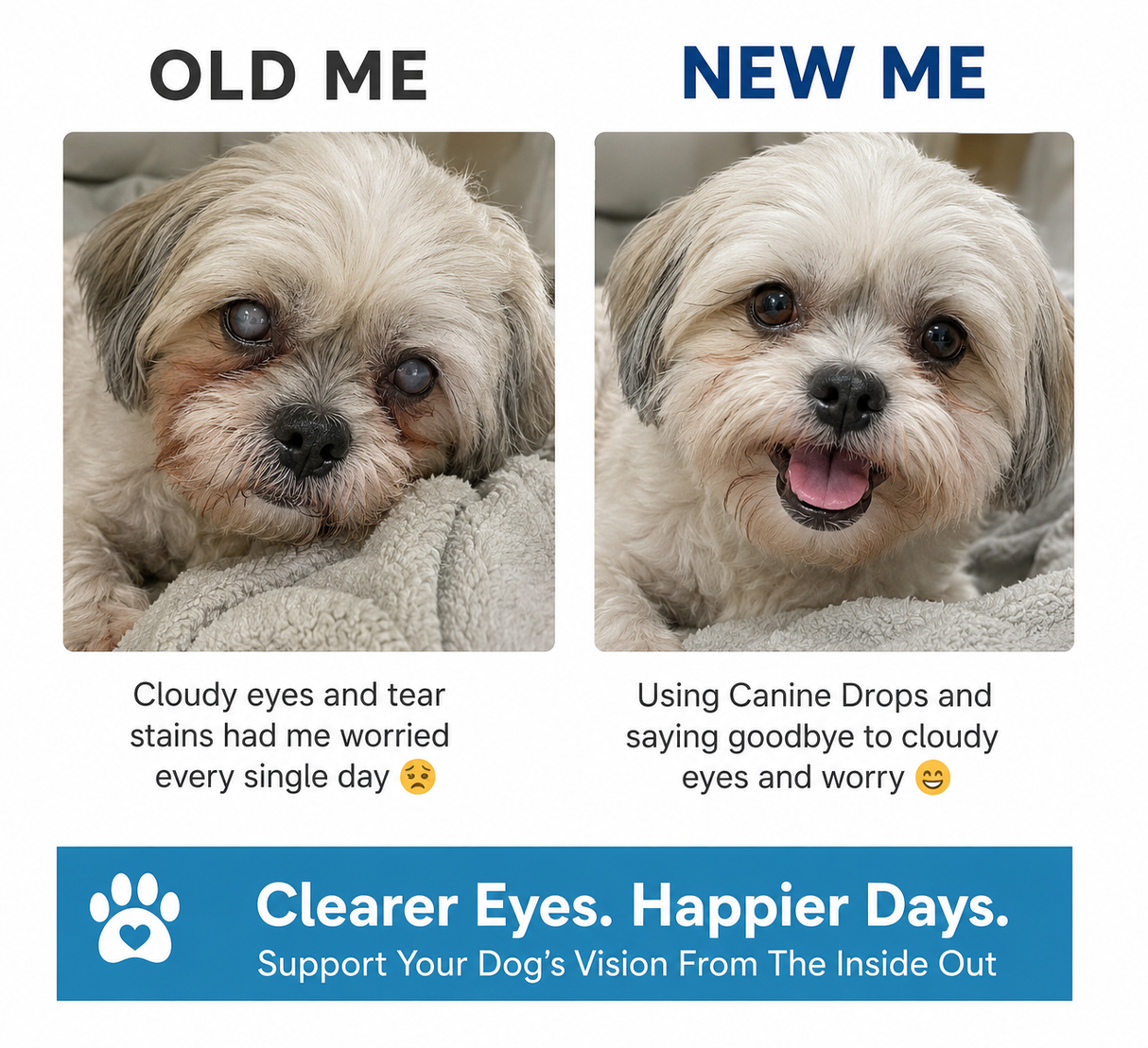 Daily Eye Support Drops for Dogs-2 Park
