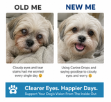 Daily Eye Support Drops for Dogs-2 Park