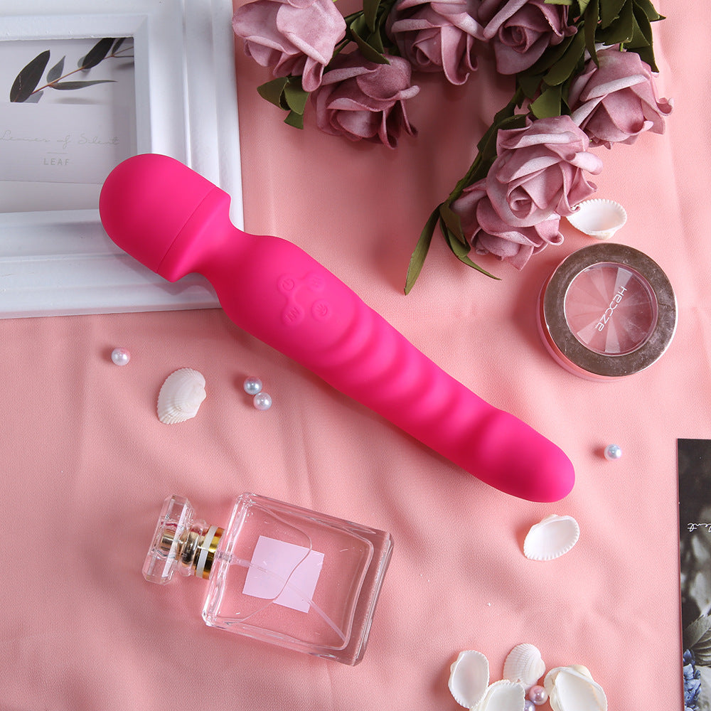 Double head vibrator double penetration vibrator