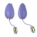 Vibrador rosa con control remoto Huevo de rosa vibratorio