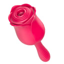 RosaOrgasmoMasturbaciónVibrador GExcitarSaltarVibrador