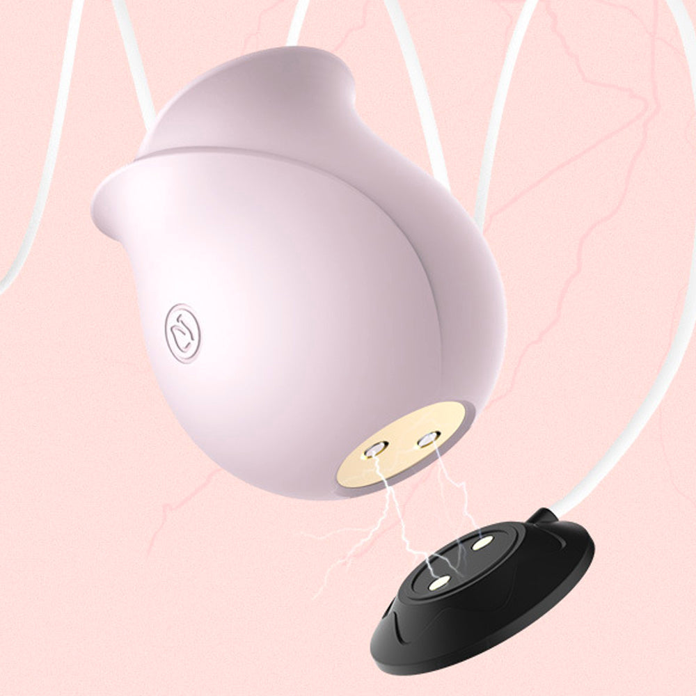 Rose Suction Vibrator Multiple Pleasure Vibrating Suction Egg Vibrator