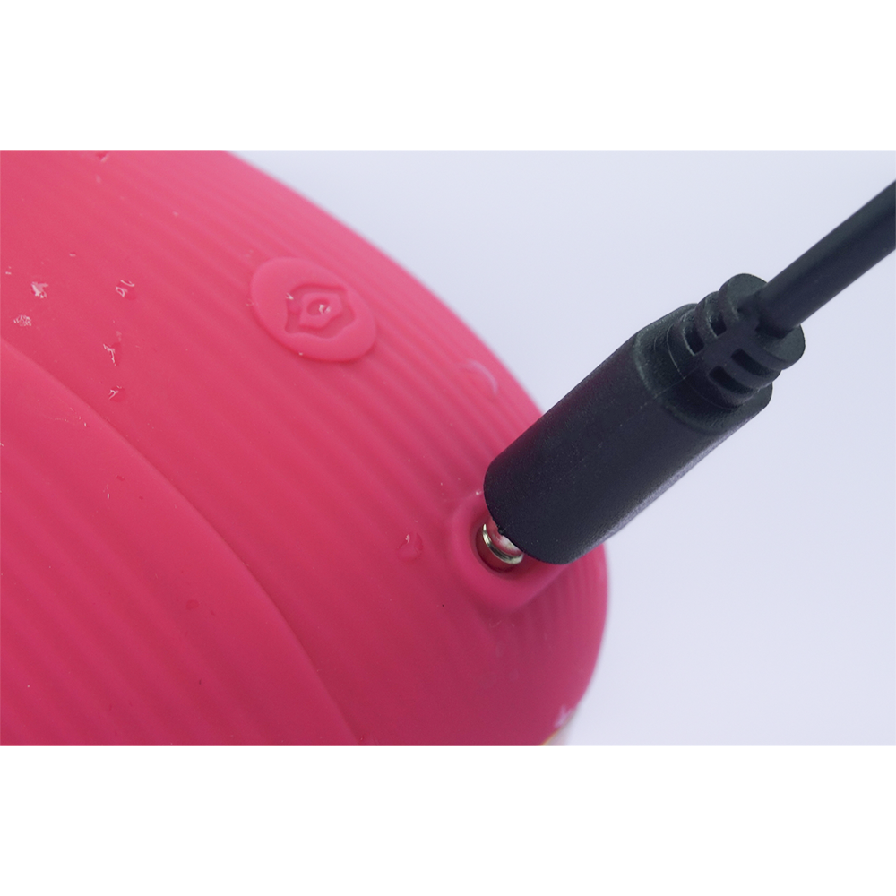 7 Modes Sucking & Vibrating Rose Vibrator Vibrating Suction for Women