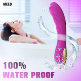 Vibrating Dildos Silicone Female Automatic Masturbator