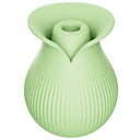Vibrador de clítoris Vibrador de succión de clítoris